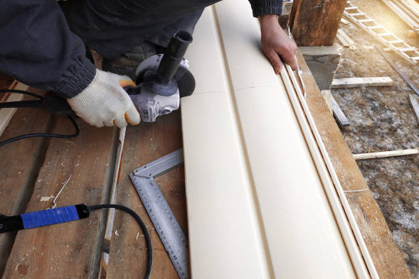 Best Custom Trim and Detailing for Siding  in Nashville, MI