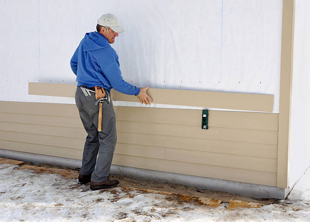 Best Stucco Siding  in Nashville, MI